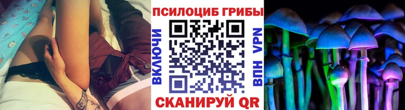 Галлюциногенные грибы Psilocybine cubensis  Купить закладки  Приволжск 